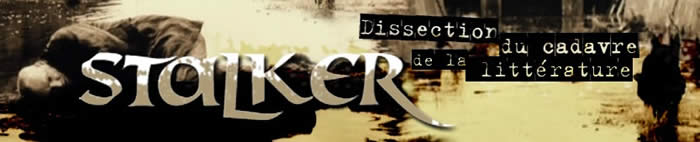  Stalker - Notes du Wadi Rum de Gabriel Levin